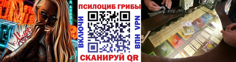 Галлюциногенные грибы мицелий  наркошоп  Краснообск 