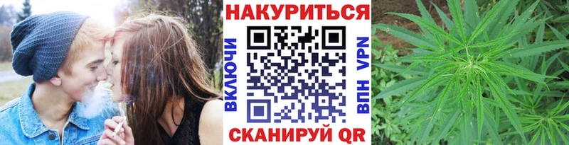 Бошки Шишки MAZAR  Краснообск 